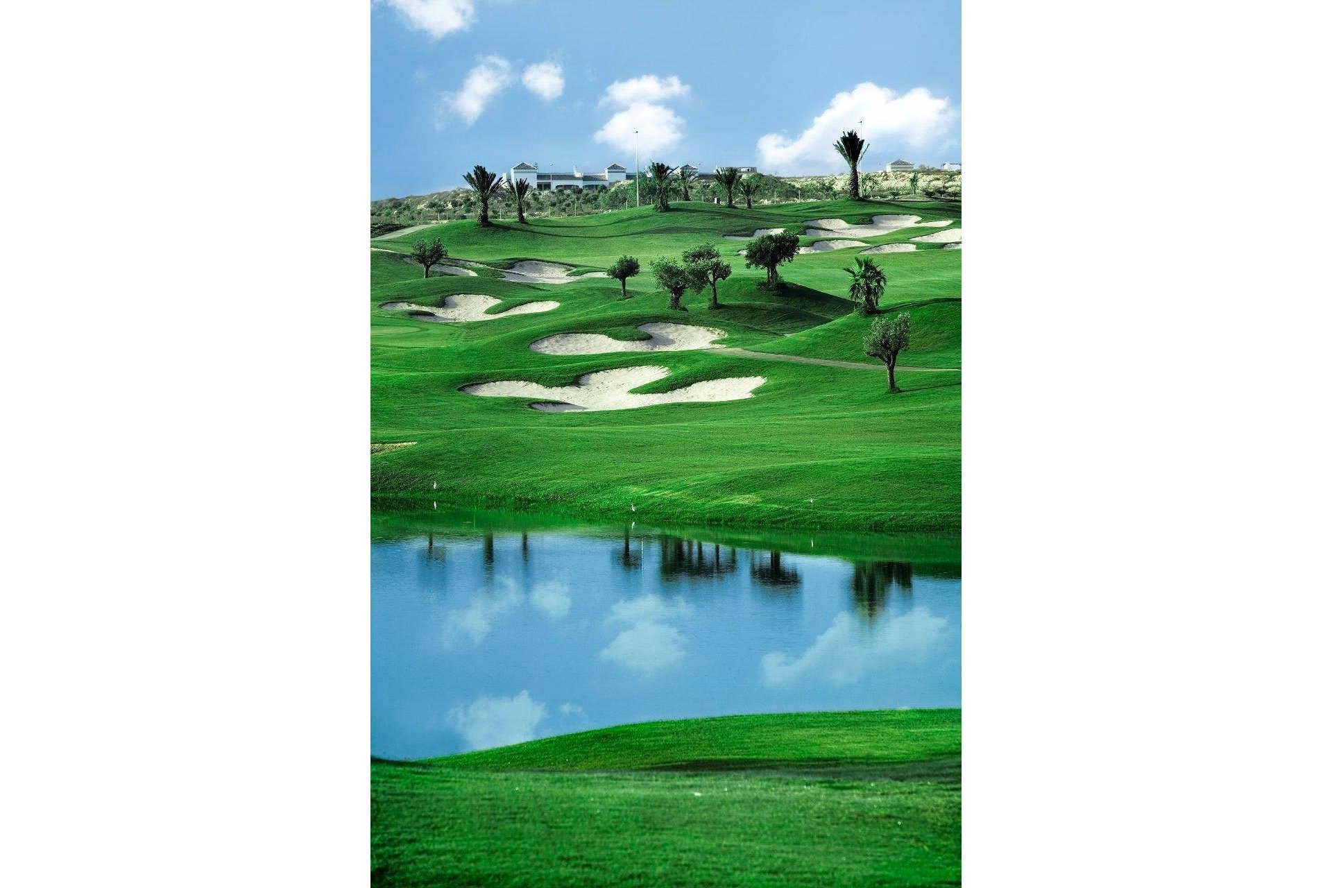 Új építésű - Villa -
Orihuela - Vistabella Golf