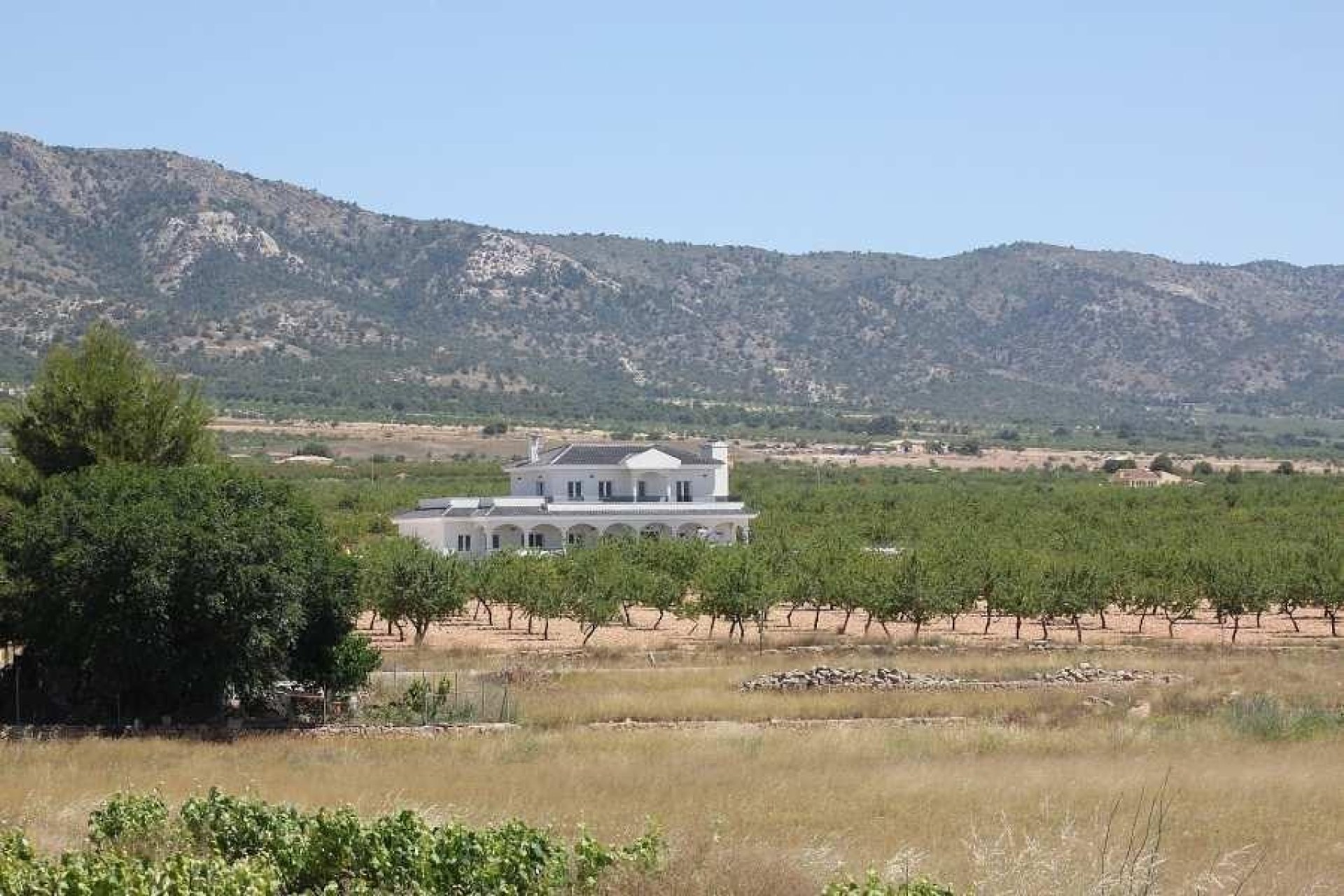 Új építésű - Villa -
Pinoso - Camino Del Prado