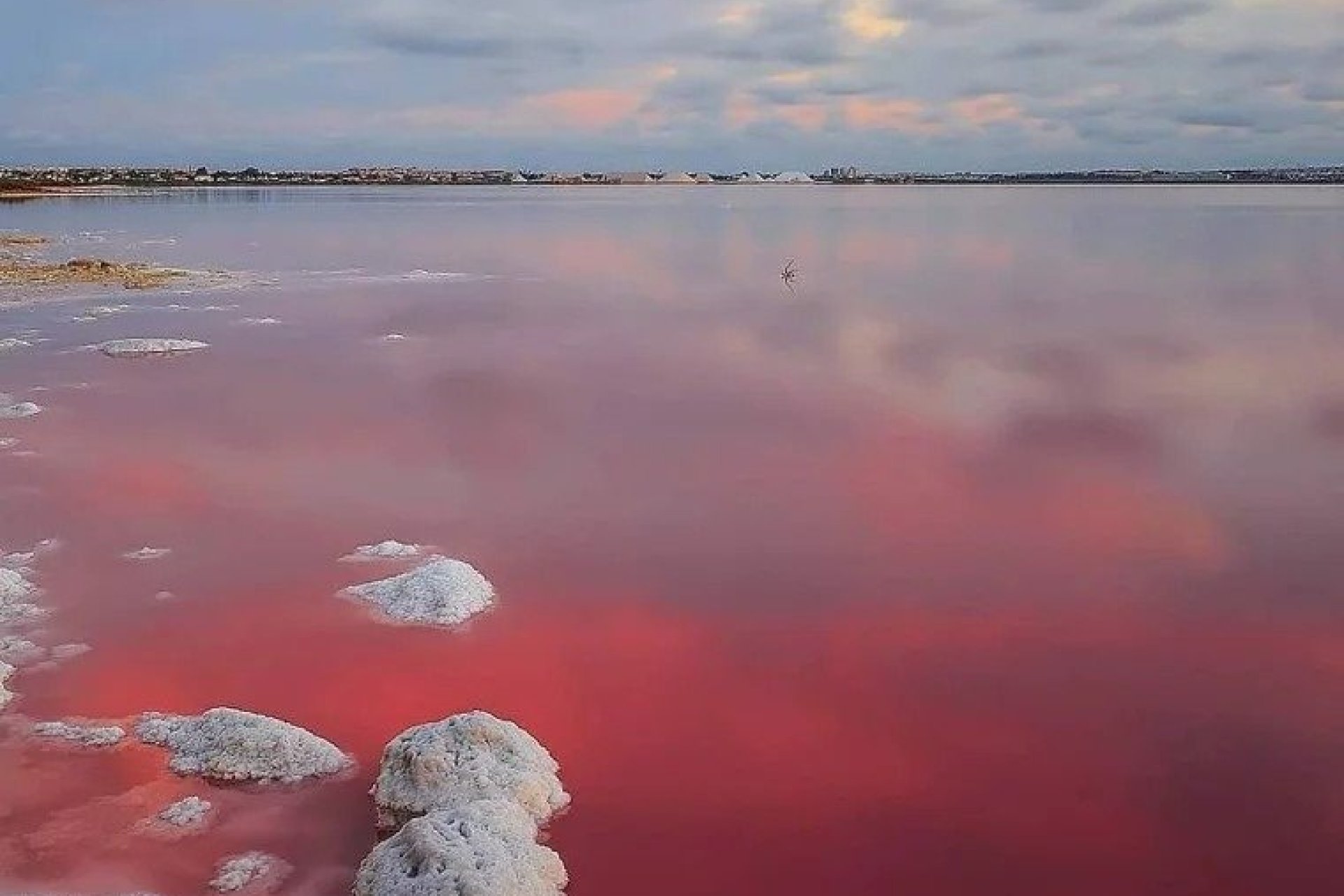Új építésű - Villa -
Torrevieja - Lago Jardín II