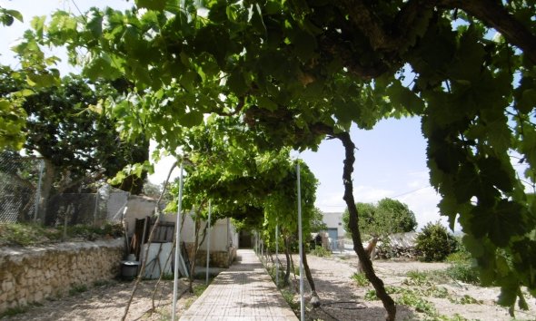 Vilă - Revânzare - Yecla - Inland