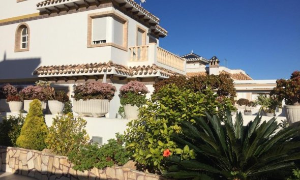 Villa - Használt Ingatlanok - Torrevieja -
                La Mata