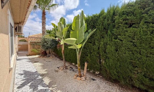 Villa - Revente - Torrevieja - Costa Blanca