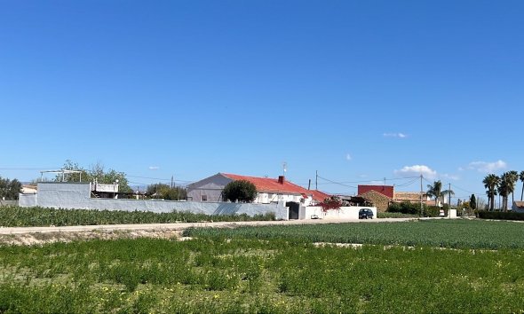 Villa - Segunda mano - Dolores -
                Comunidad Valenciana