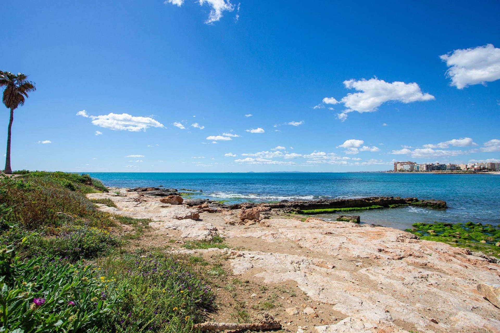 Wiederverkauf - Bungalow -
Torrevieja - Centro