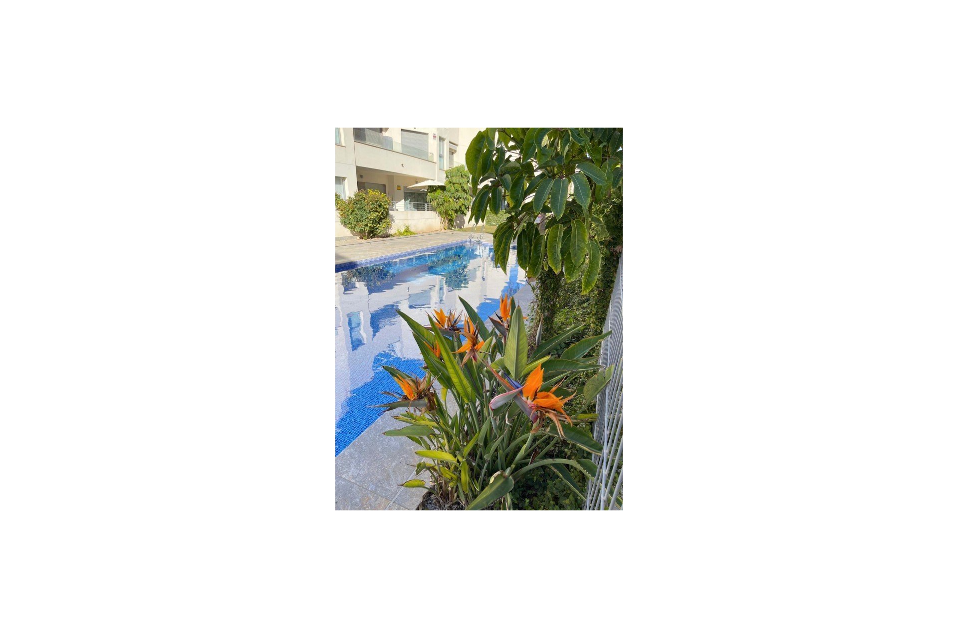Wiederverkauf - Bungalow -
Torrevieja - Costa Blanca