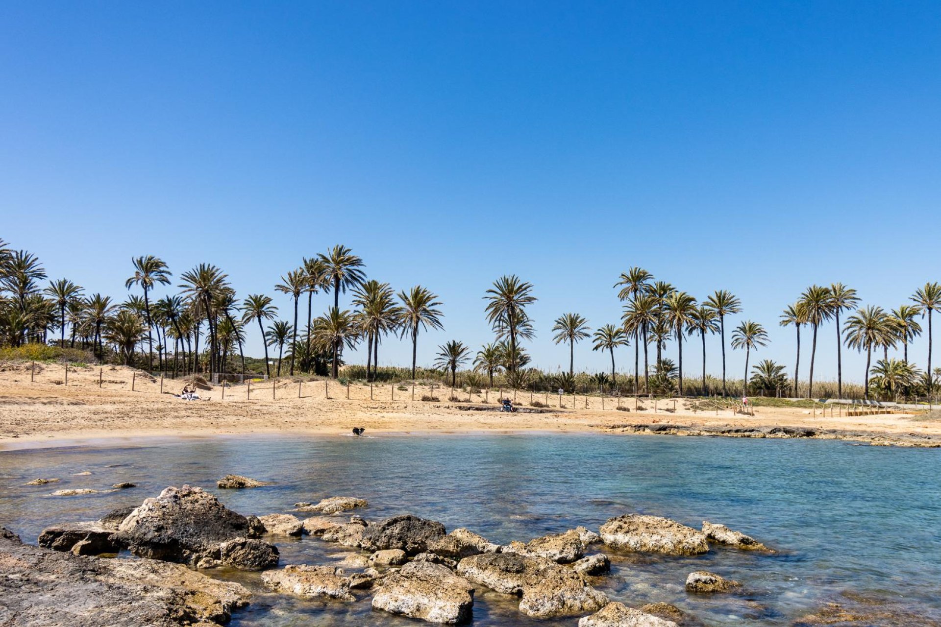 Wiederverkauf - Bungalow -
Torrevieja - Costa Blanca