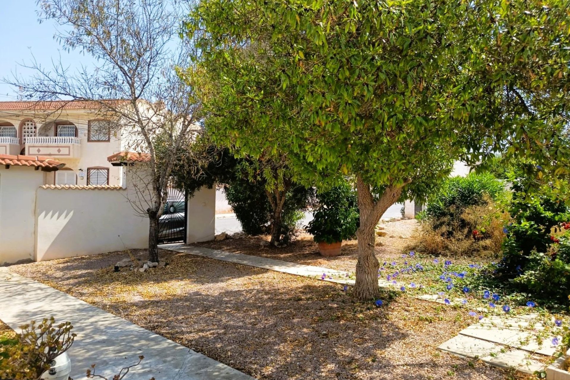 Wiederverkauf - Bungalow -
Torrevieja - Costa Blanca