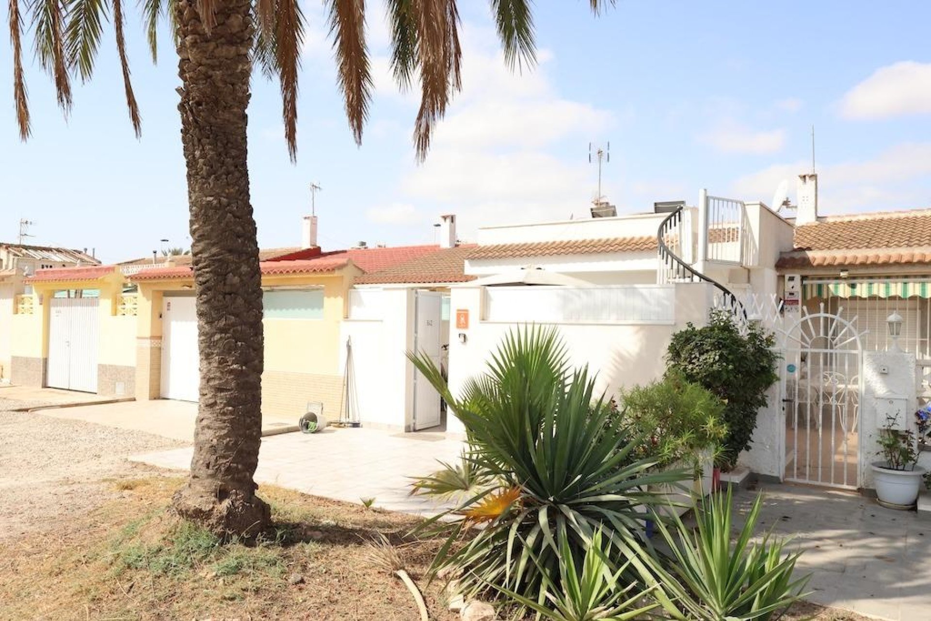 Wiederverkauf - Bungalow -
Torrevieja - Costa Blanca
