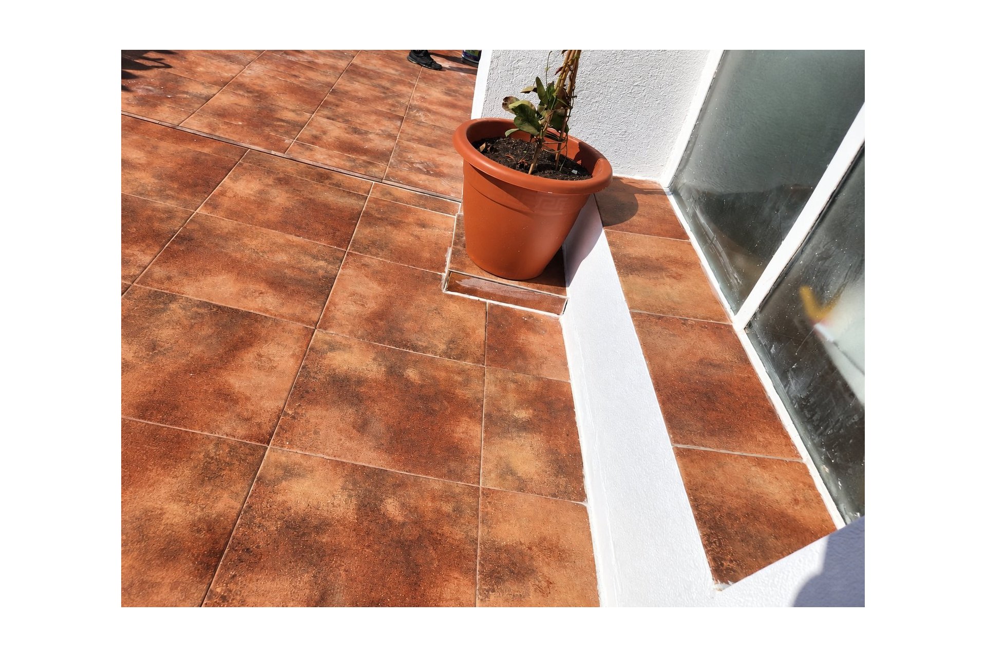 Wiederverkauf - Bungalow -
Torrevieja - Costa Blanca