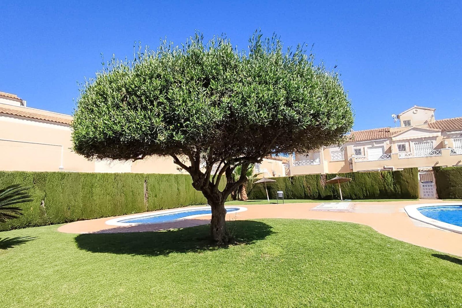 Wiederverkauf - Bungalow -
Torrevieja - Parque Acuático - Sector 25