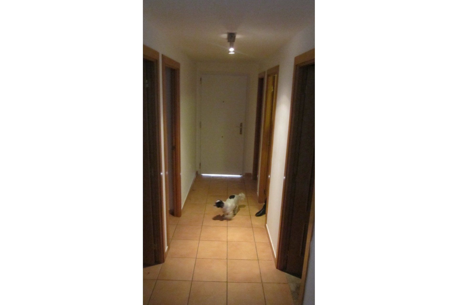 Wiederverkauf - Duplex -
Finestrat - Costa Blanca