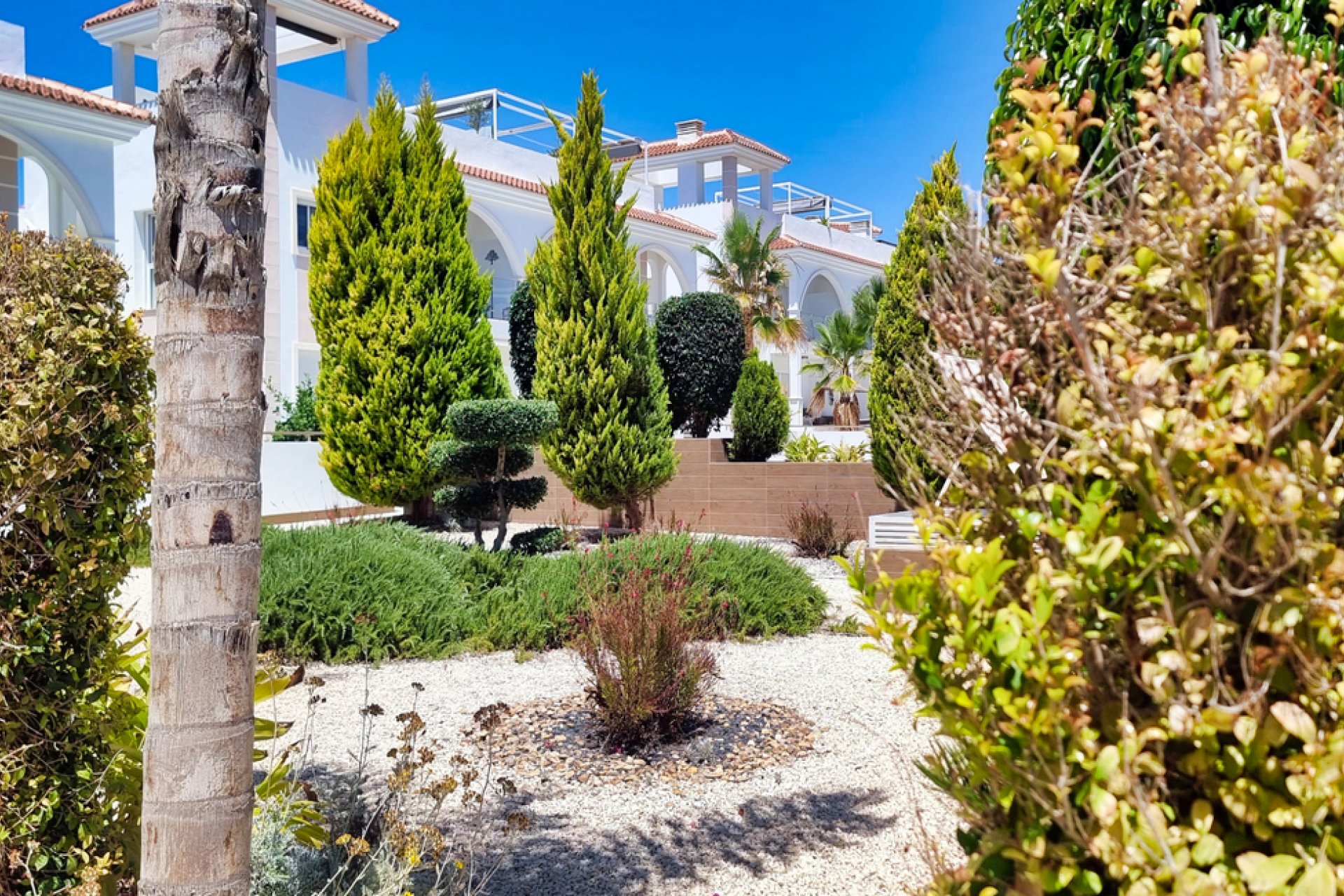 Wiederverkauf - Penthouse -
Ciudad Quesada - Dona Pepa