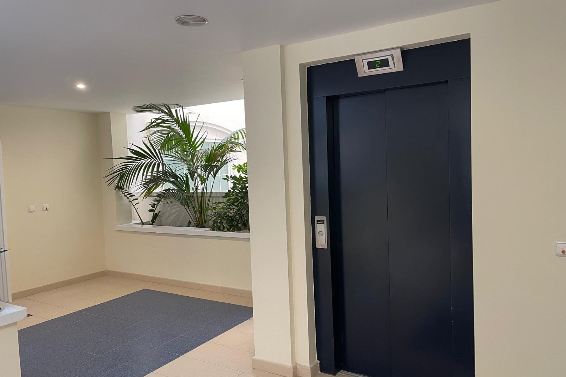 Wiederverkauf - Penthouse -
Guardamar del Segura - Costa Blanca
