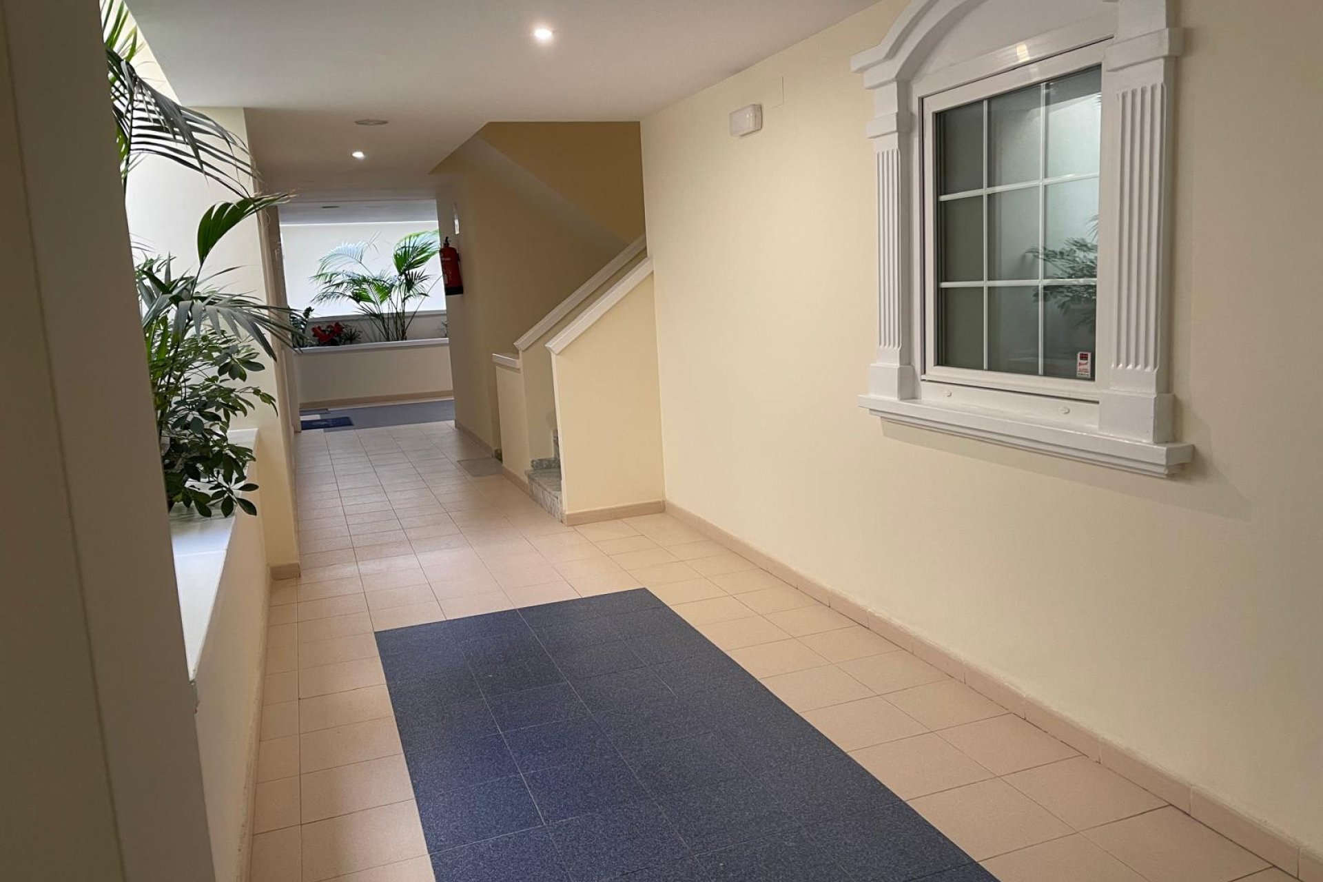 Wiederverkauf - Penthouse -
Guardamar del Segura - Costa Blanca