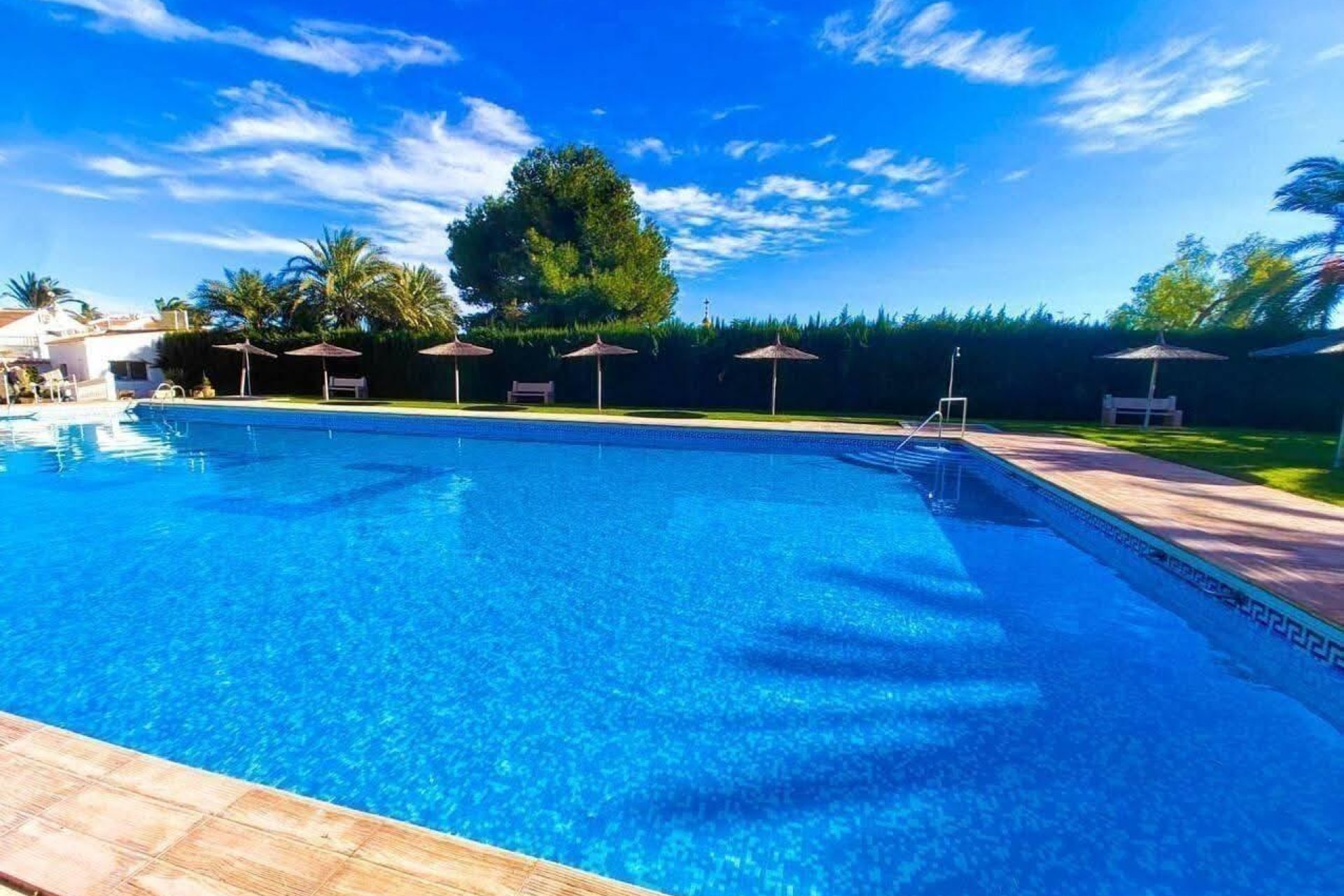 Wiederverkauf - Penthouse -
Torrevieja - Calas Blanca
