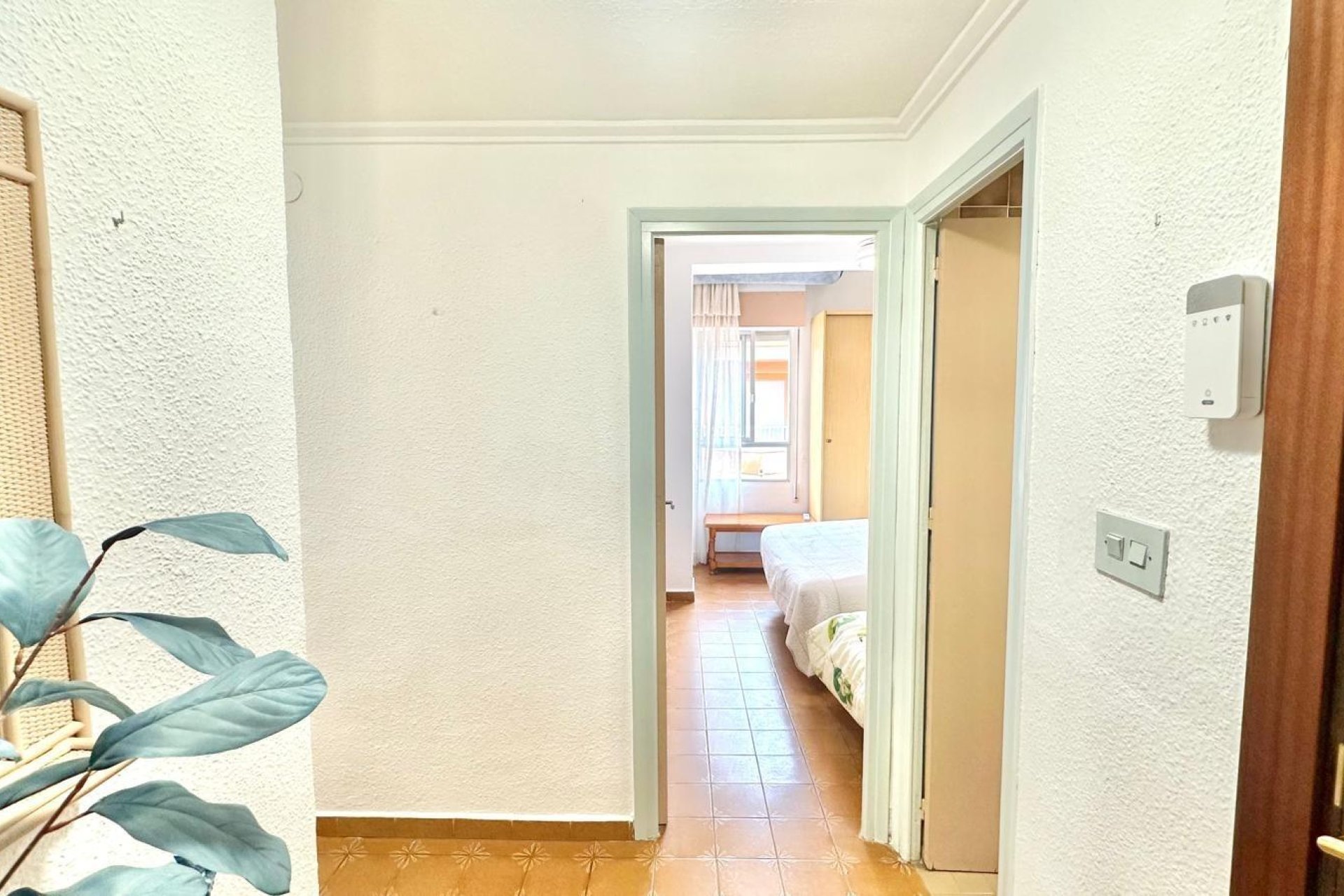 Wiederverkauf - Penthouse -
Torrevieja - Centro