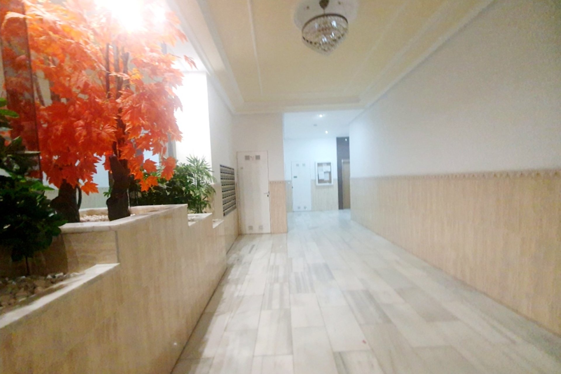 Wiederverkauf - Penthouse -
Torrevieja - Costa Blanca