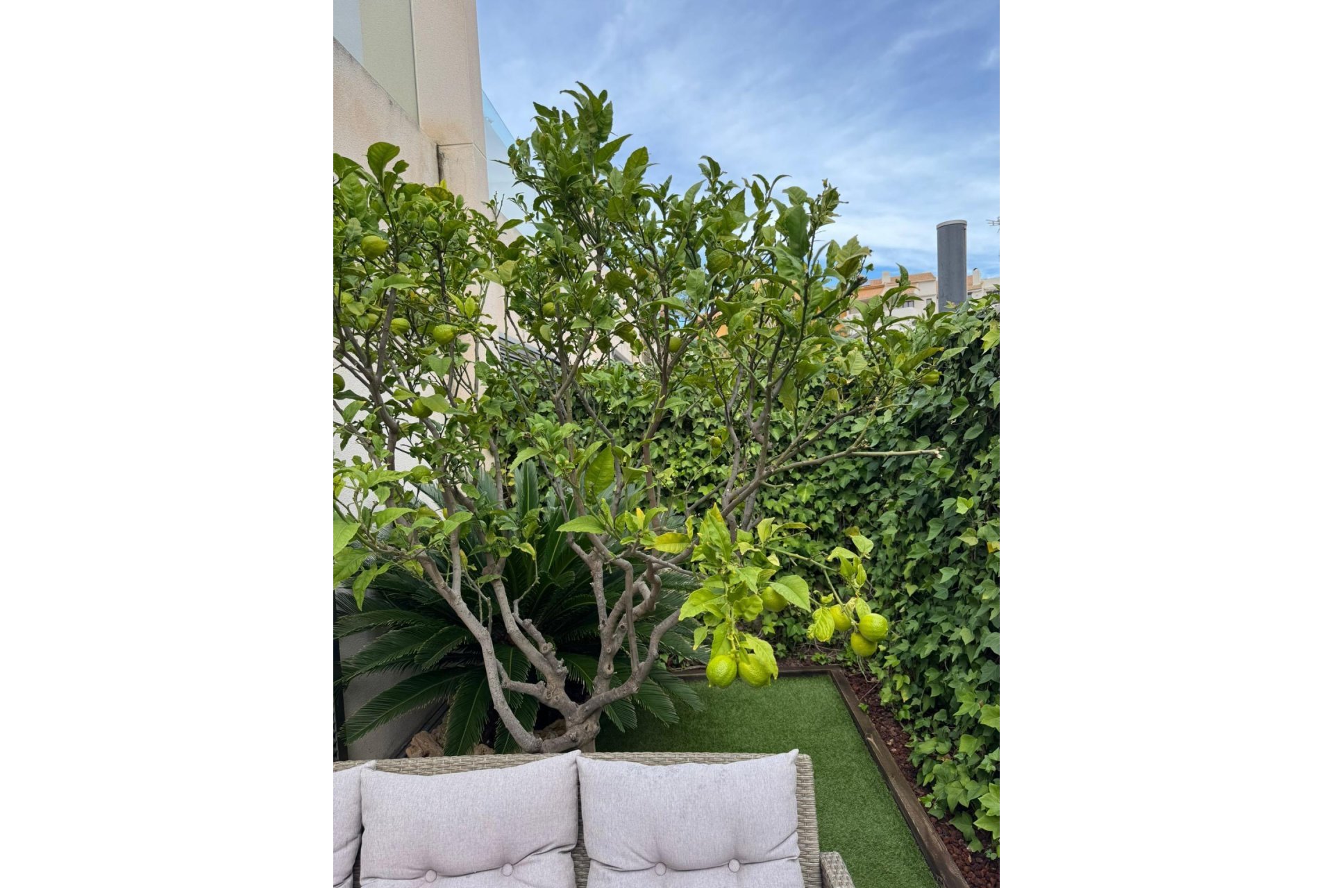 Wiederverkauf - Stadthaus -
Torrevieja - Punta Prima