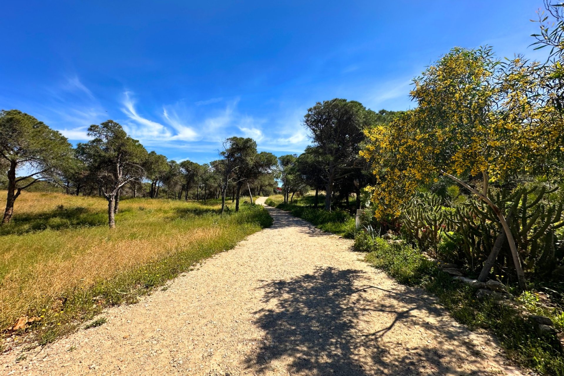 Wiederverkauf - Town House -
Guardamar del Segura - Costa Blanca