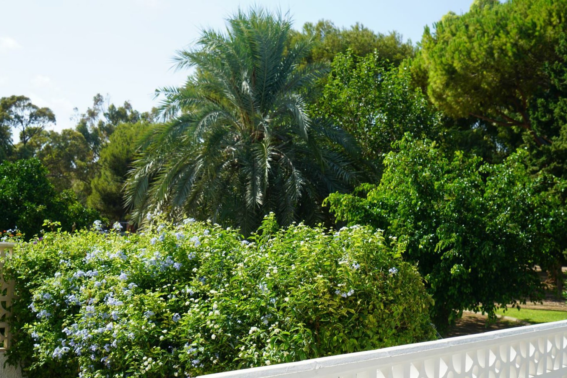 Wiederverkauf - Town House -
Orihuela Costa - Costa Blanca