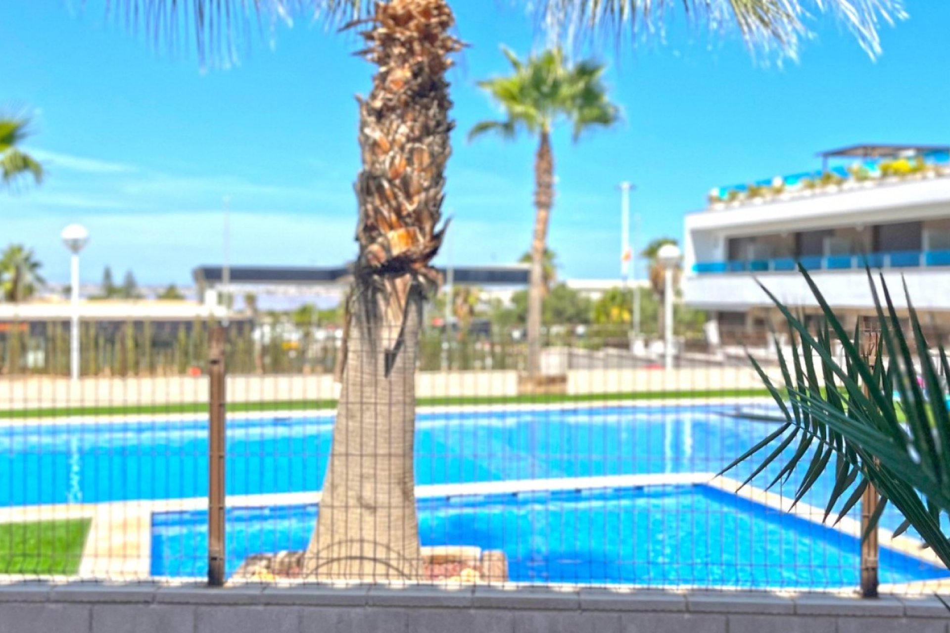 Wiederverkauf - Town House -
Torrevieja - Costa Blanca