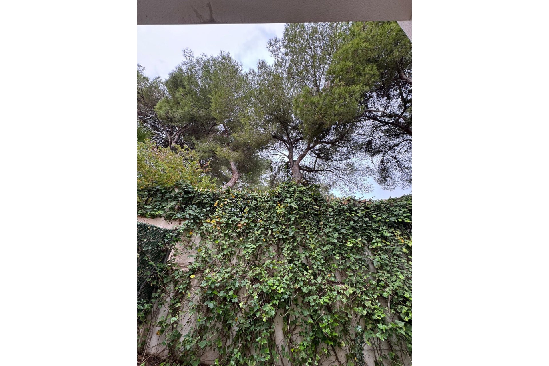 Wiederverkauf - Town House -
Torrevieja - Punta Prima