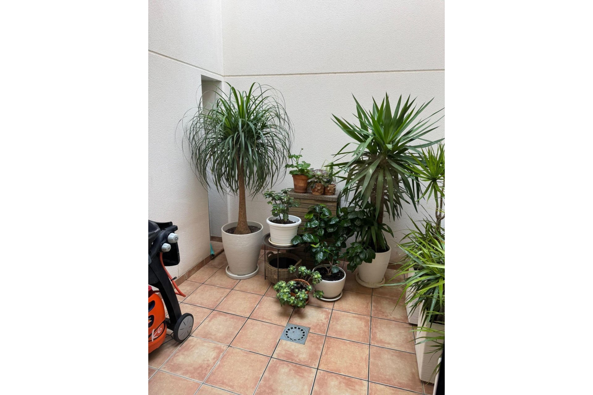 Wiederverkauf - Town House -
Torrevieja - Punta Prima