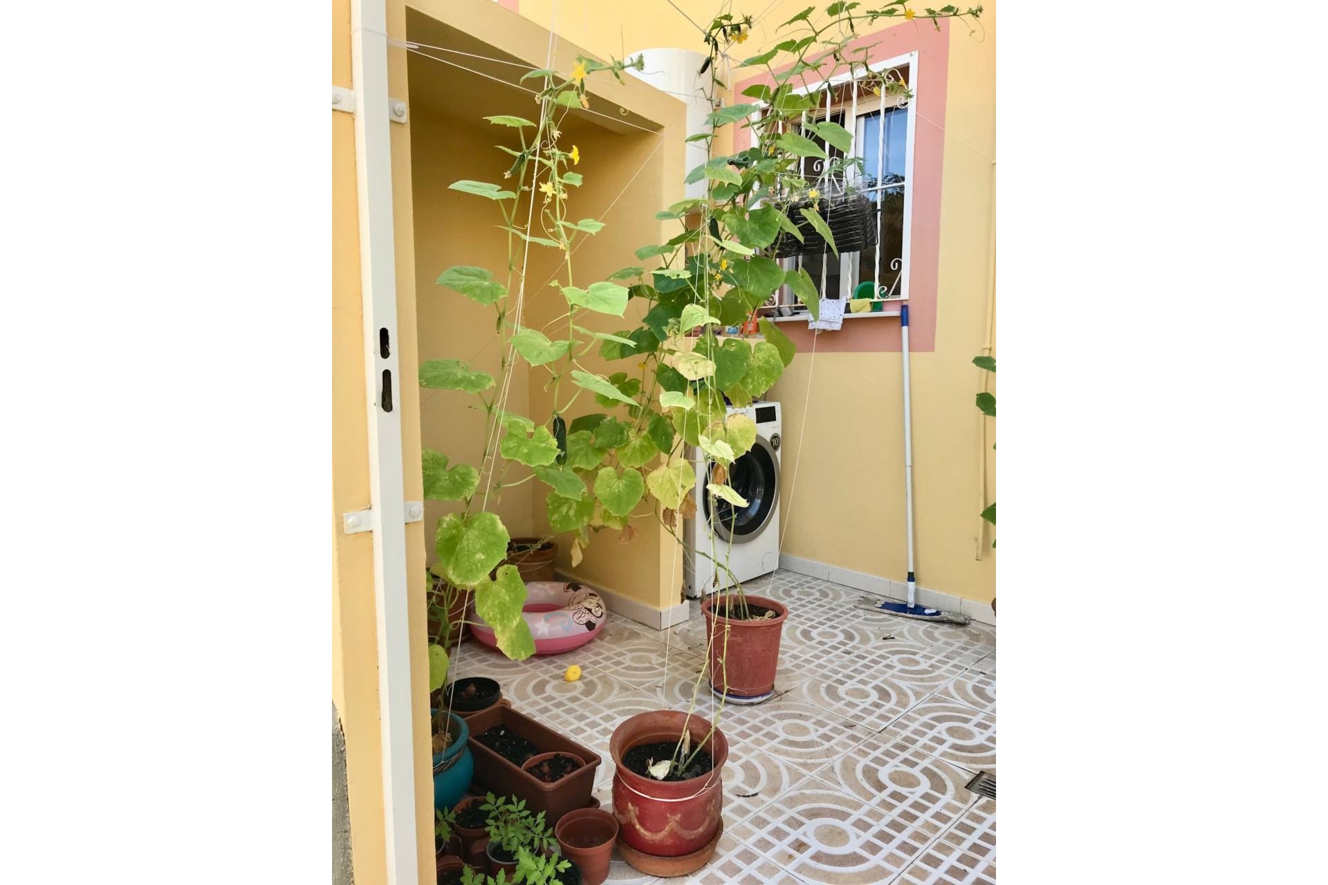 Wiederverkauf - Town House -
Villamartin - Costa Blanca