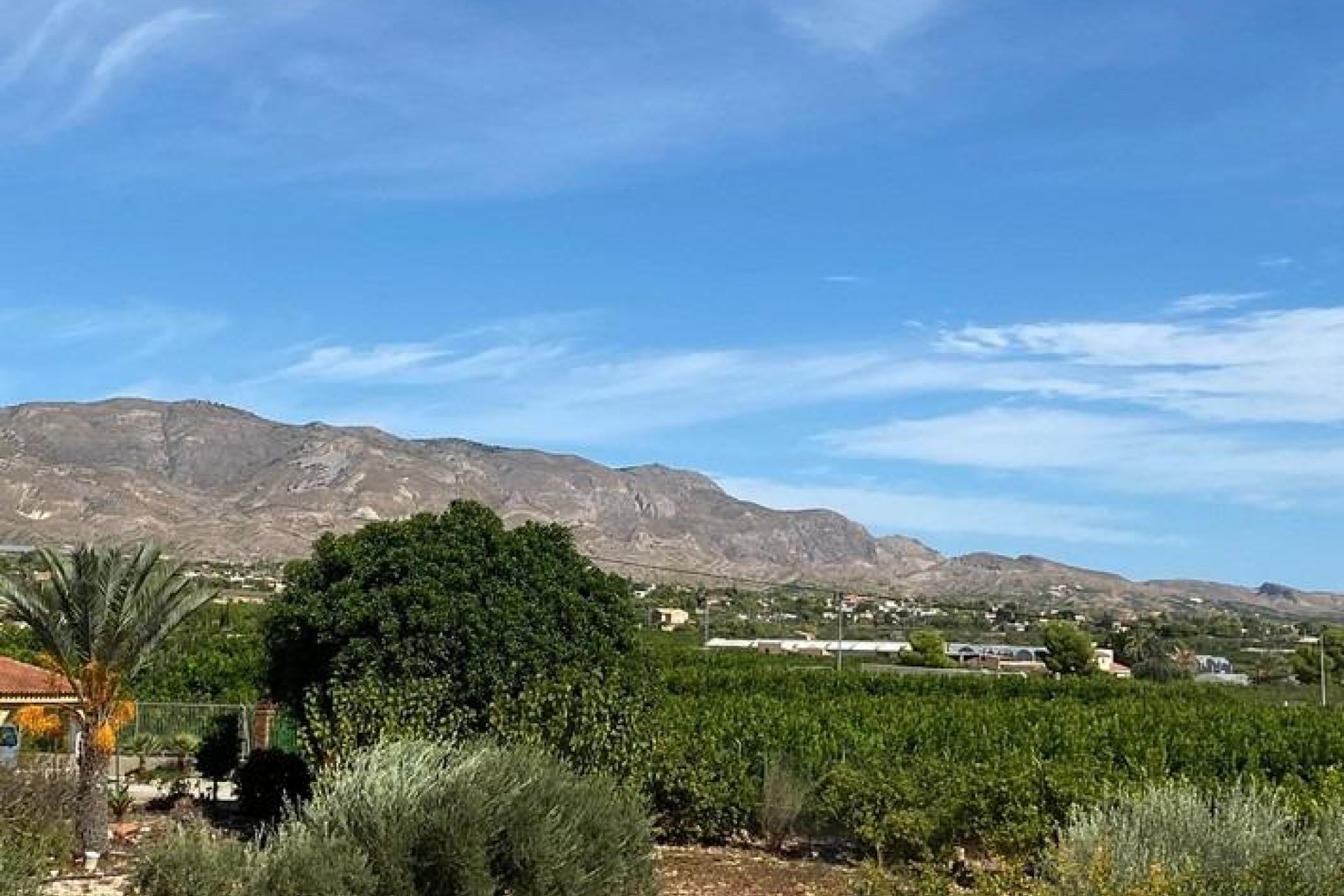 Wiederverkauf - Villa -
Albatera - Campo De Albatera