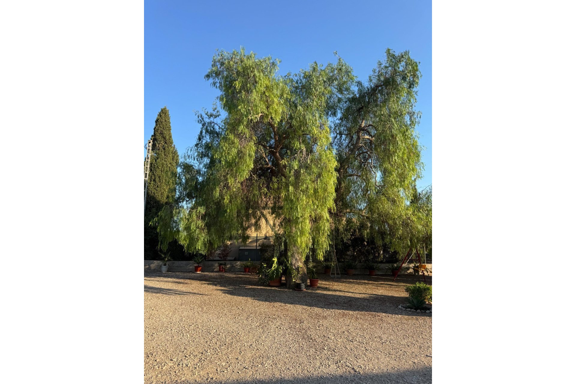 Wiederverkauf - Villa -
Albatera - Partida Lomas