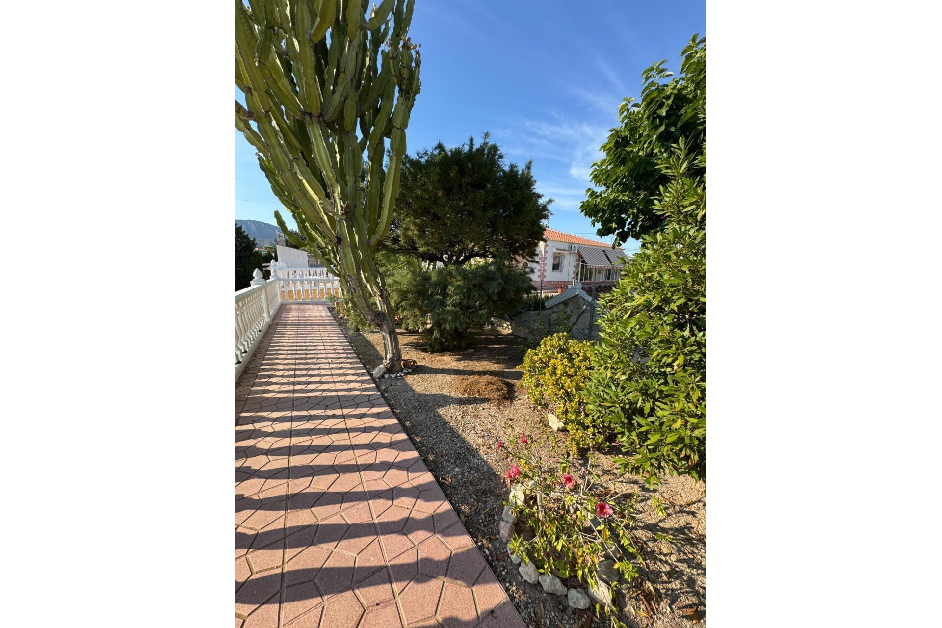 Wiederverkauf - Villa -
Albatera - Partida Lomas