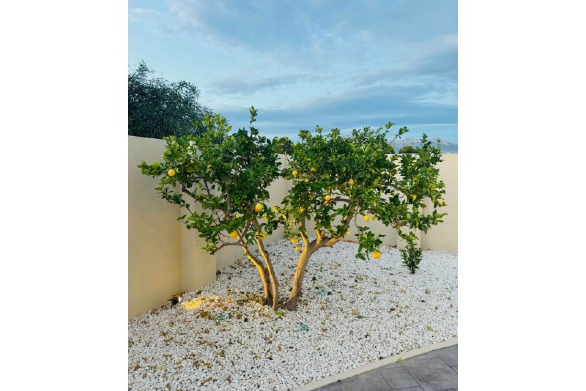 Wiederverkauf - Villa -
Alfas del Pí - Costa Blanca