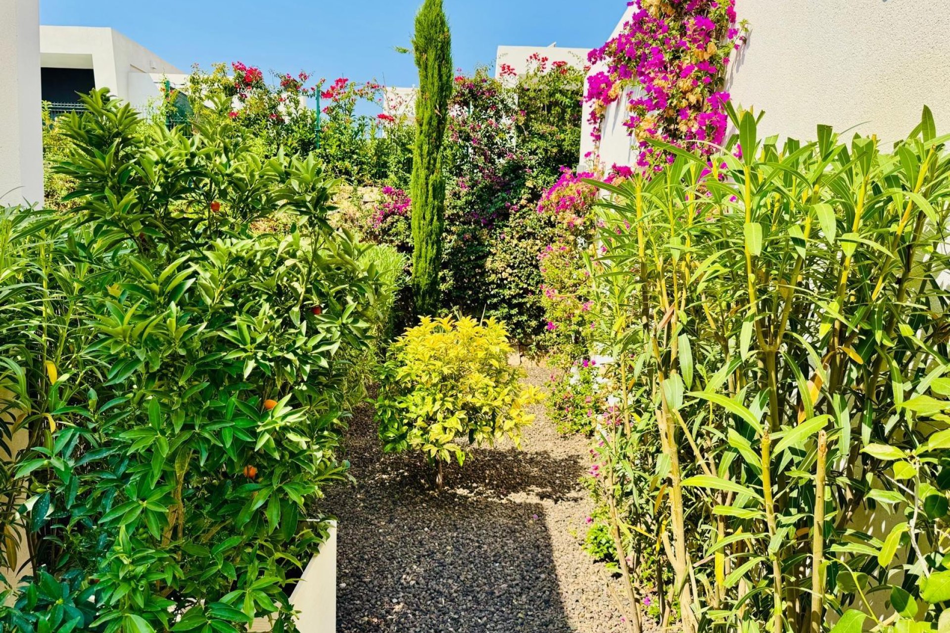 Wiederverkauf - Villa -
Algorfa - Club De Golf La Finca