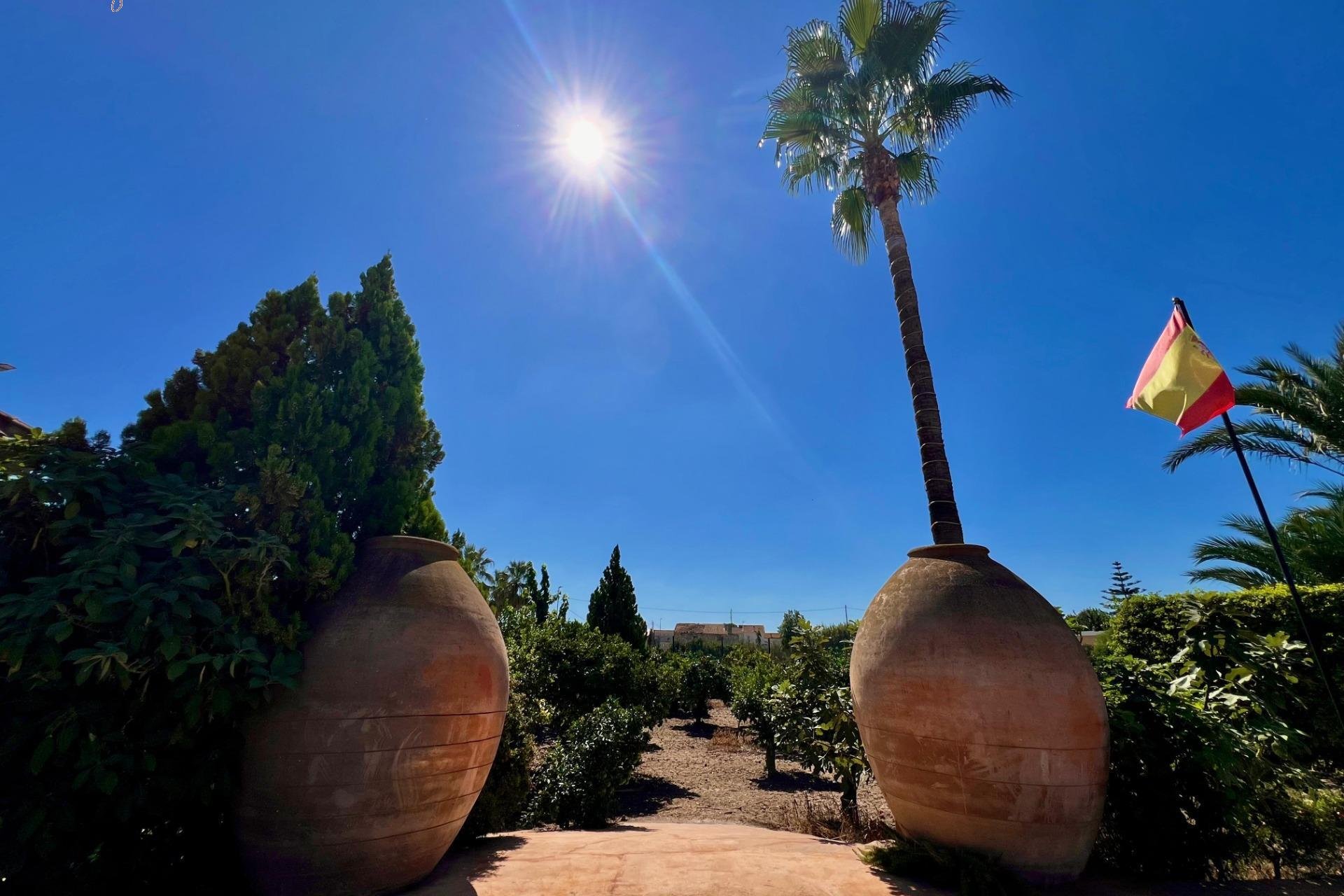 Wiederverkauf - Villa -
Almoradí - Comunidad Valenciana