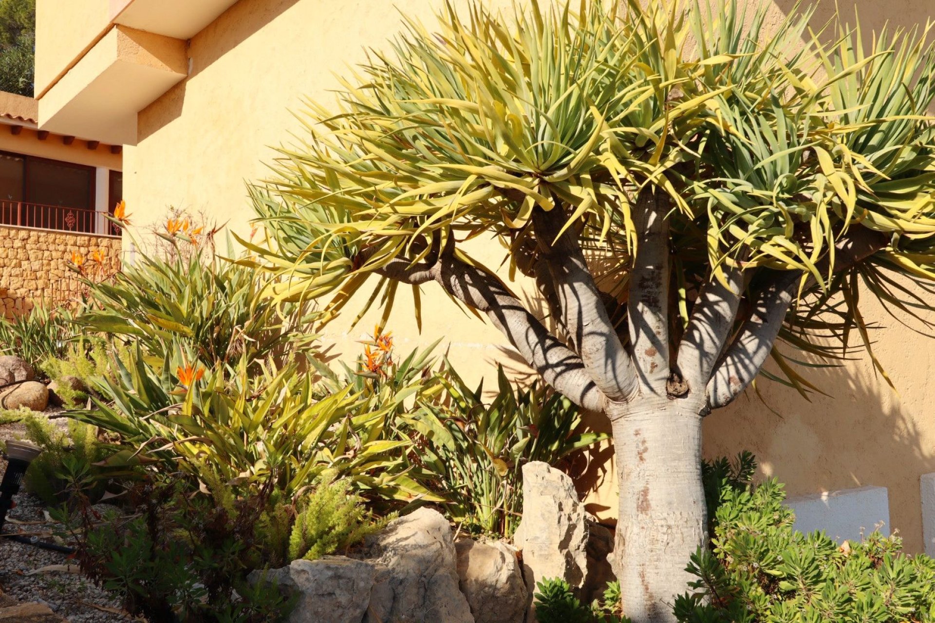 Wiederverkauf - Villa -
Altea - Costa Blanca