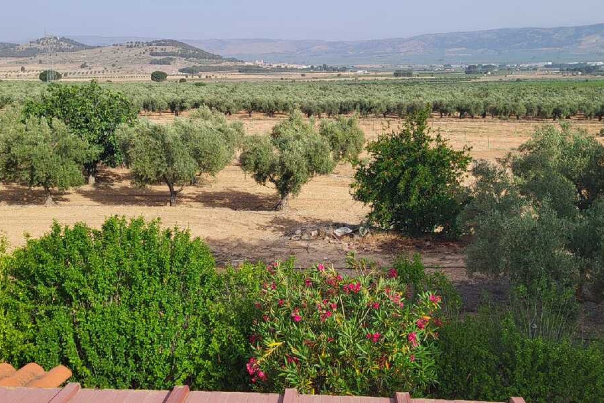 Wiederverkauf - Villa -
Biar - Costa Blanca