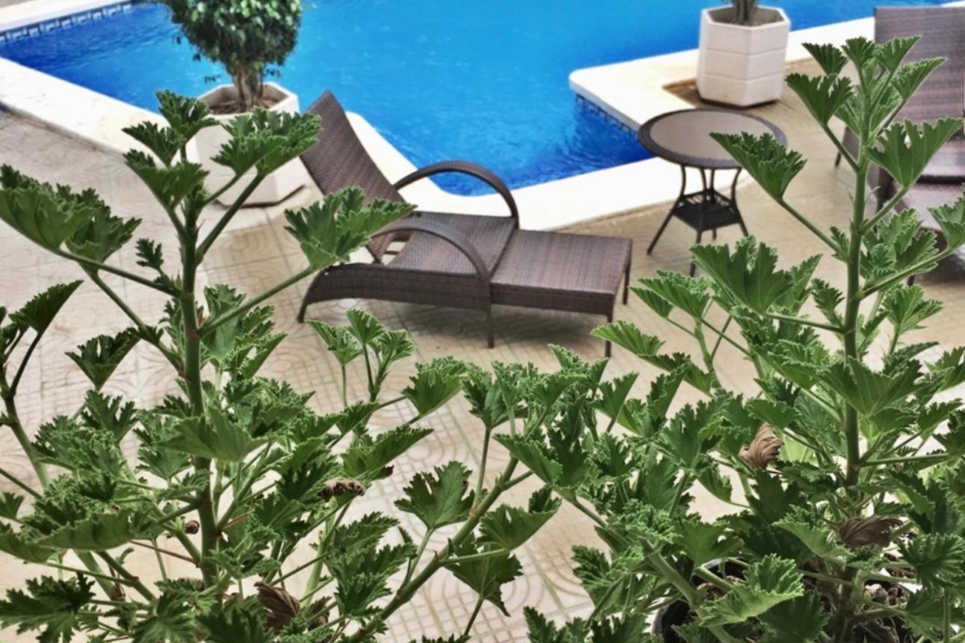 Wiederverkauf - Villa -
Ciudad Quesada - Ciudad Quesada - Doña Pepa