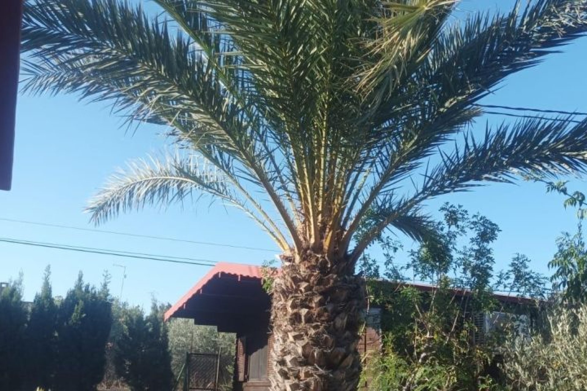 Wiederverkauf - Villa -
Elche - Costa Blanca
