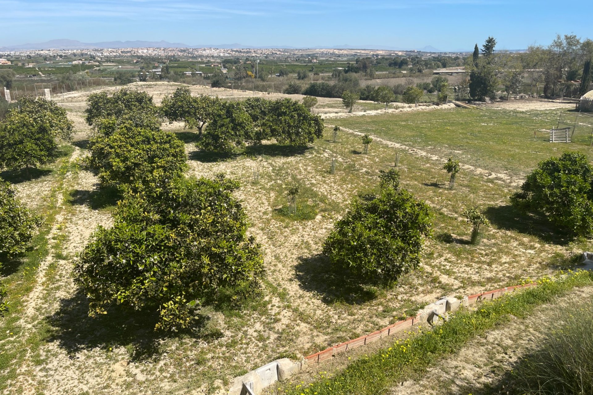 Wiederverkauf - Villa -
Guardamar del Segura - Costa Blanca