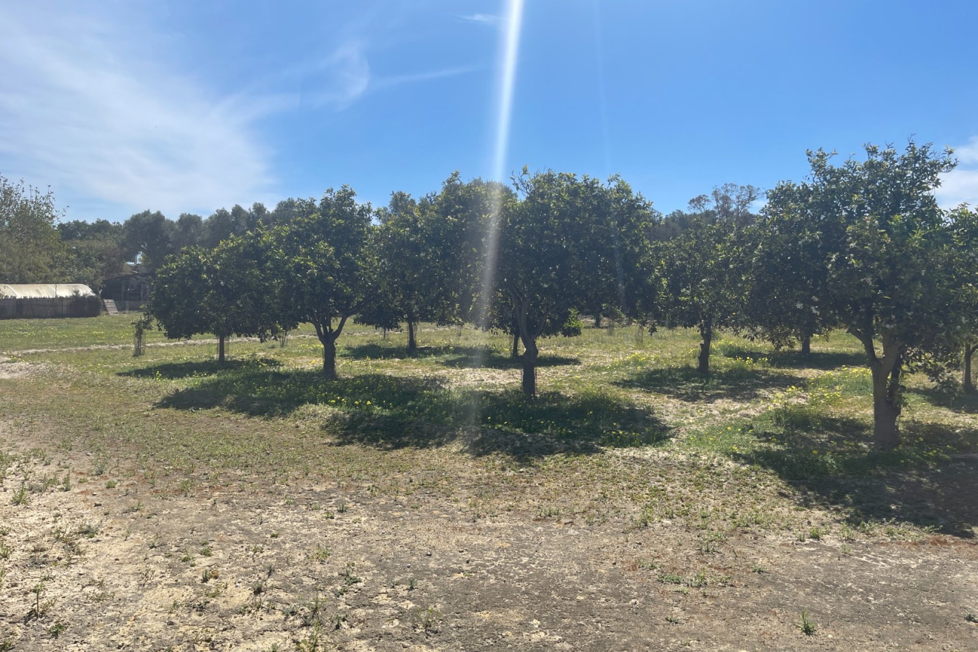 Wiederverkauf - Villa -
Guardamar del Segura - Costa Blanca