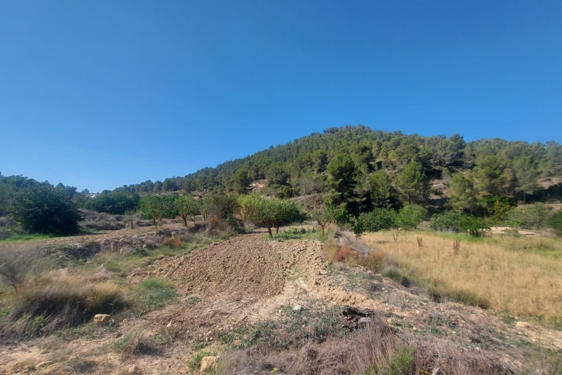 Wiederverkauf - Villa -
Jumilla - Inland