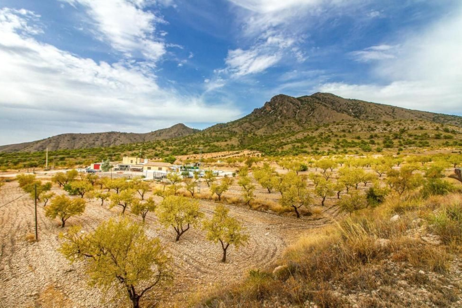 Wiederverkauf - Villa -
Jumilla - Inland
