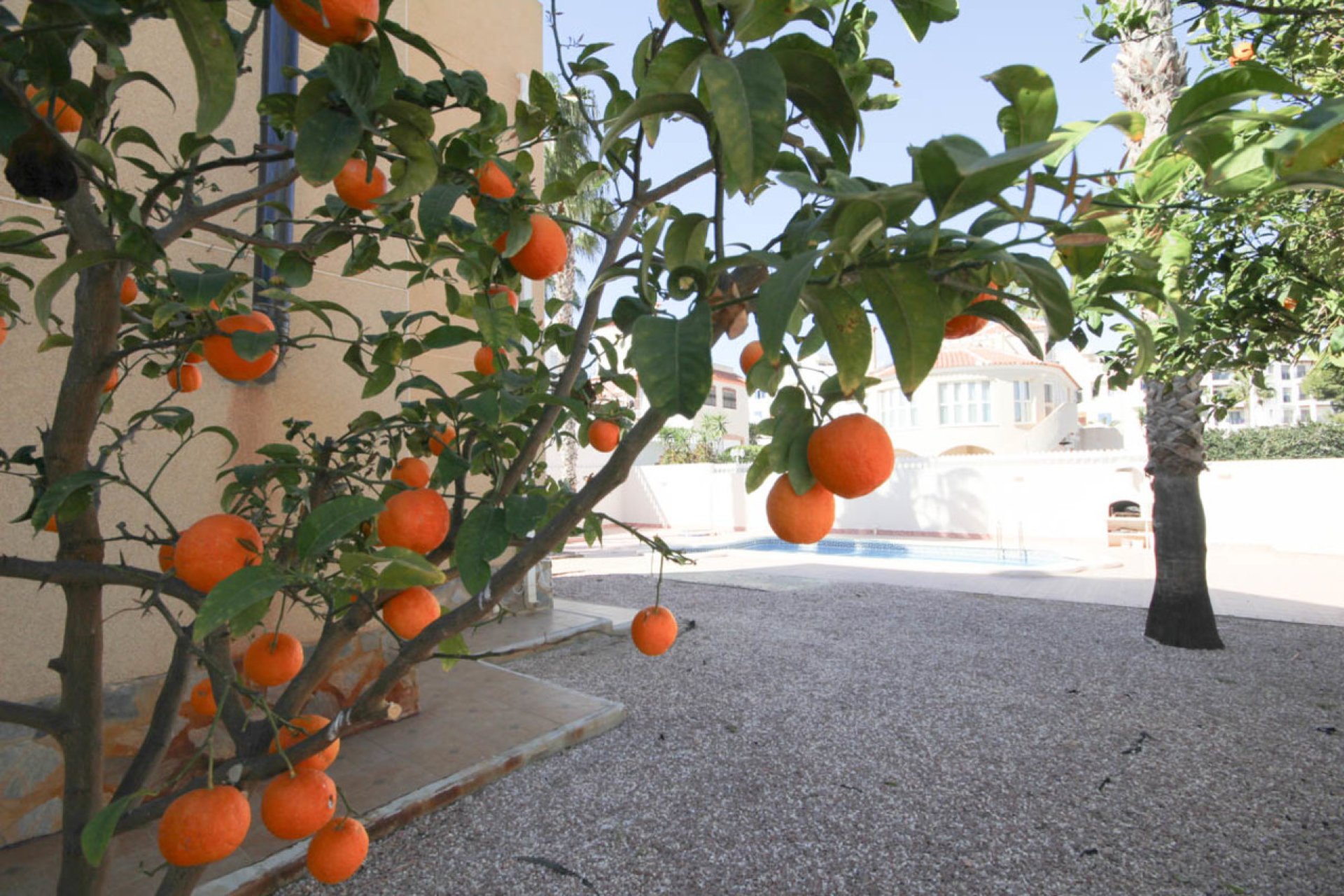 Wiederverkauf - Villa -
La Zenia - Costa Blanca