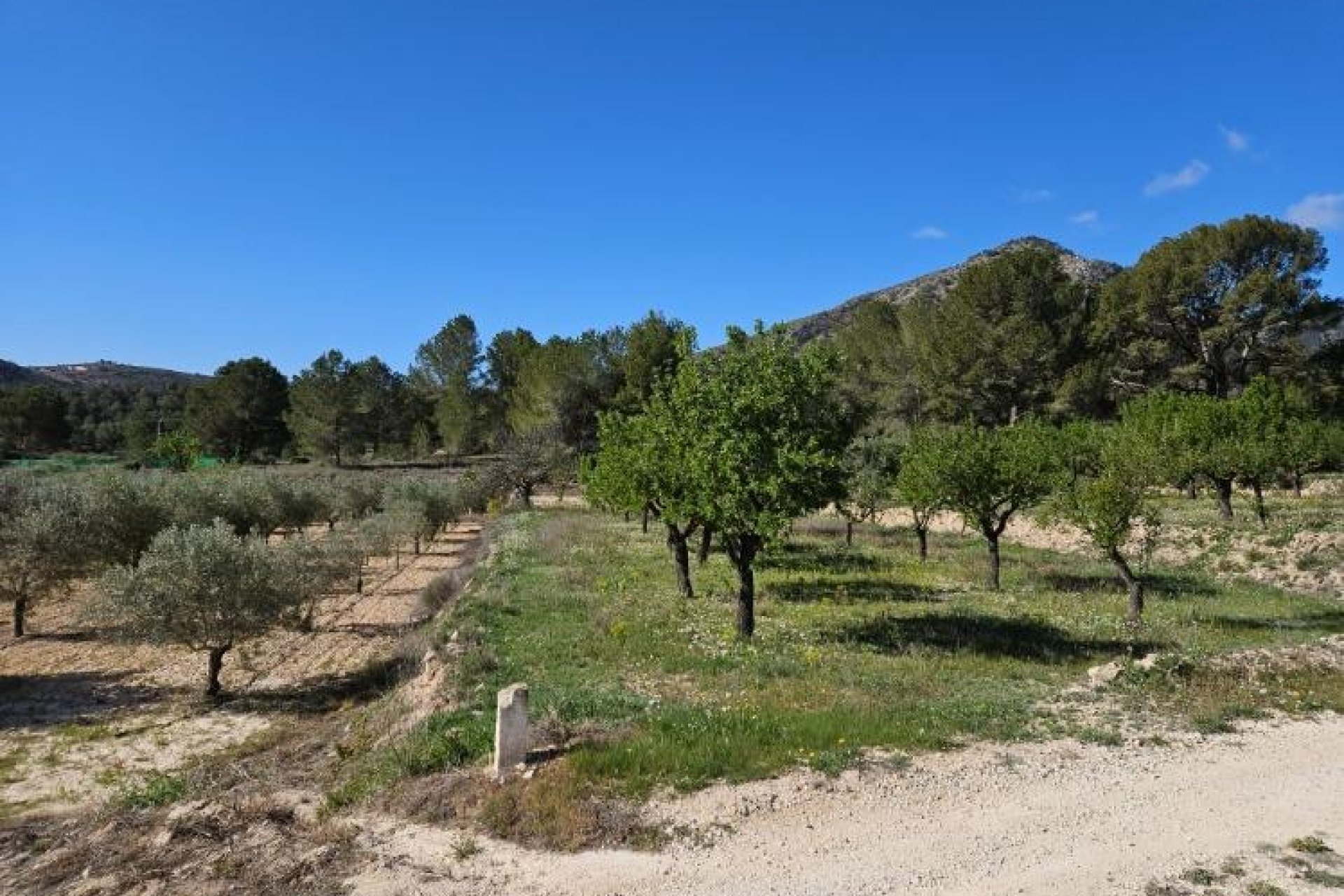 Wiederverkauf - Villa -
Monóvar/Monóver - Comunidad Valenciana