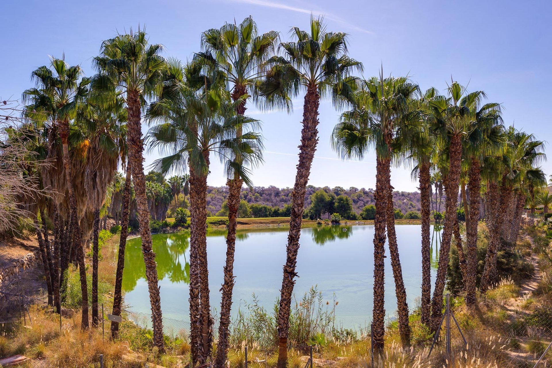 Wiederverkauf - Villa -
Orihuela Costa - Costa Blanca