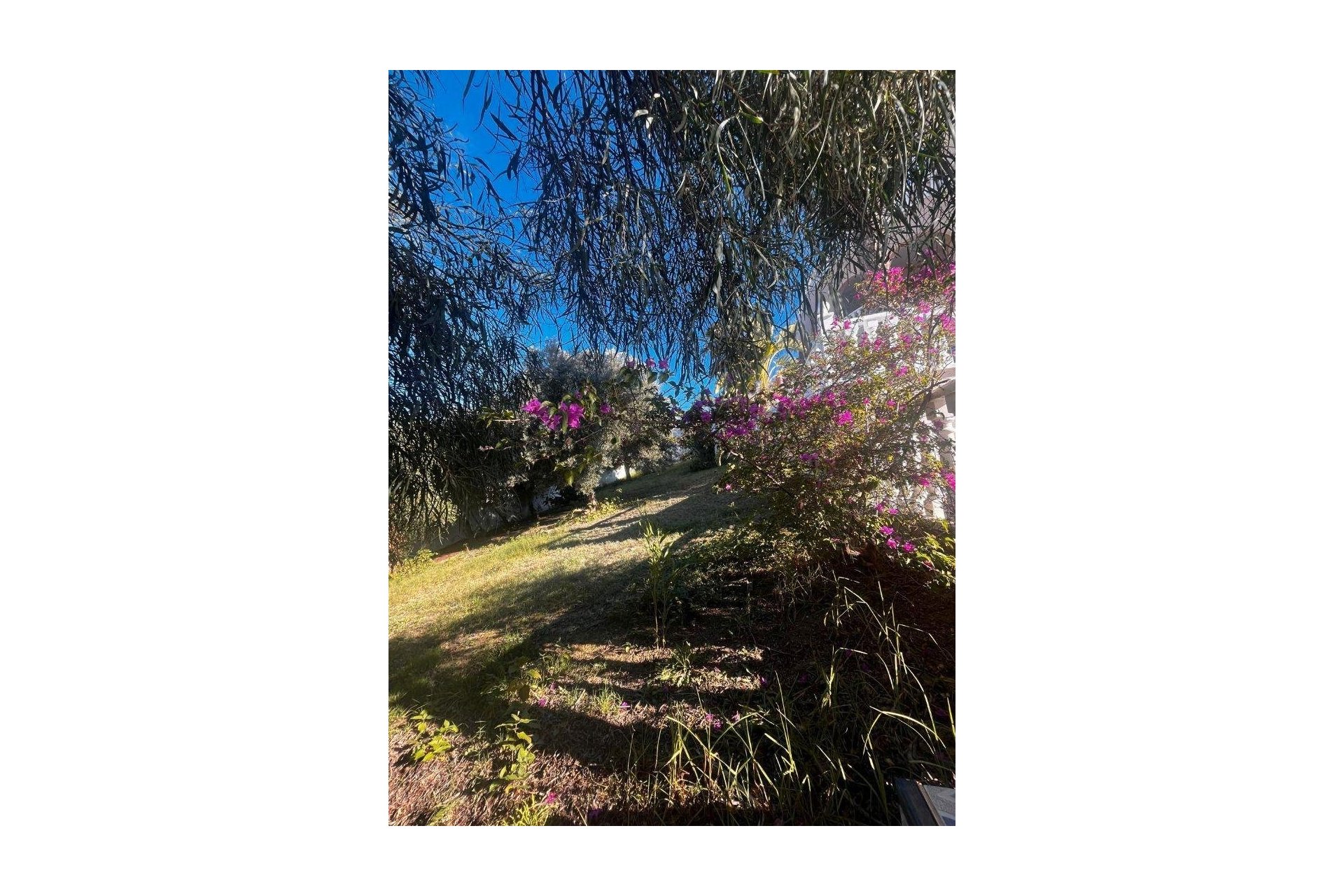 Wiederverkauf - Villa -
Rojales - La Marquesa