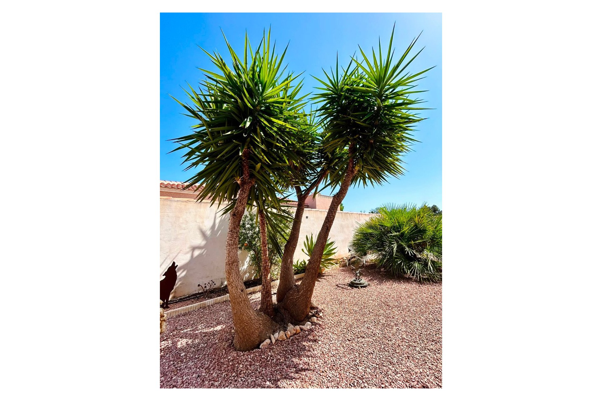 Wiederverkauf - Villa -
Torrevieja - Costa Blanca
