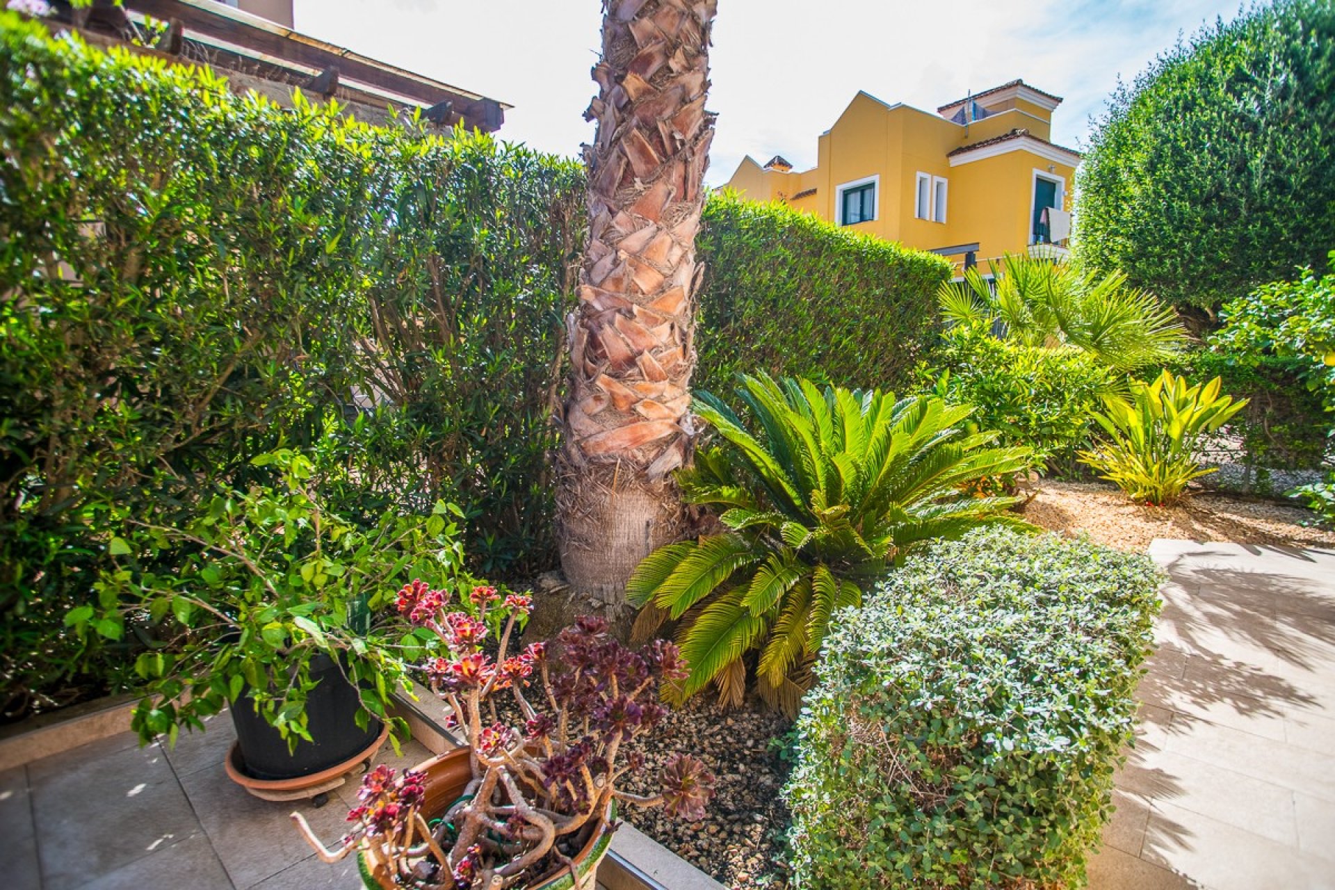 Wiederverkauf - Villa -
Torrevieja - Costa Blanca
