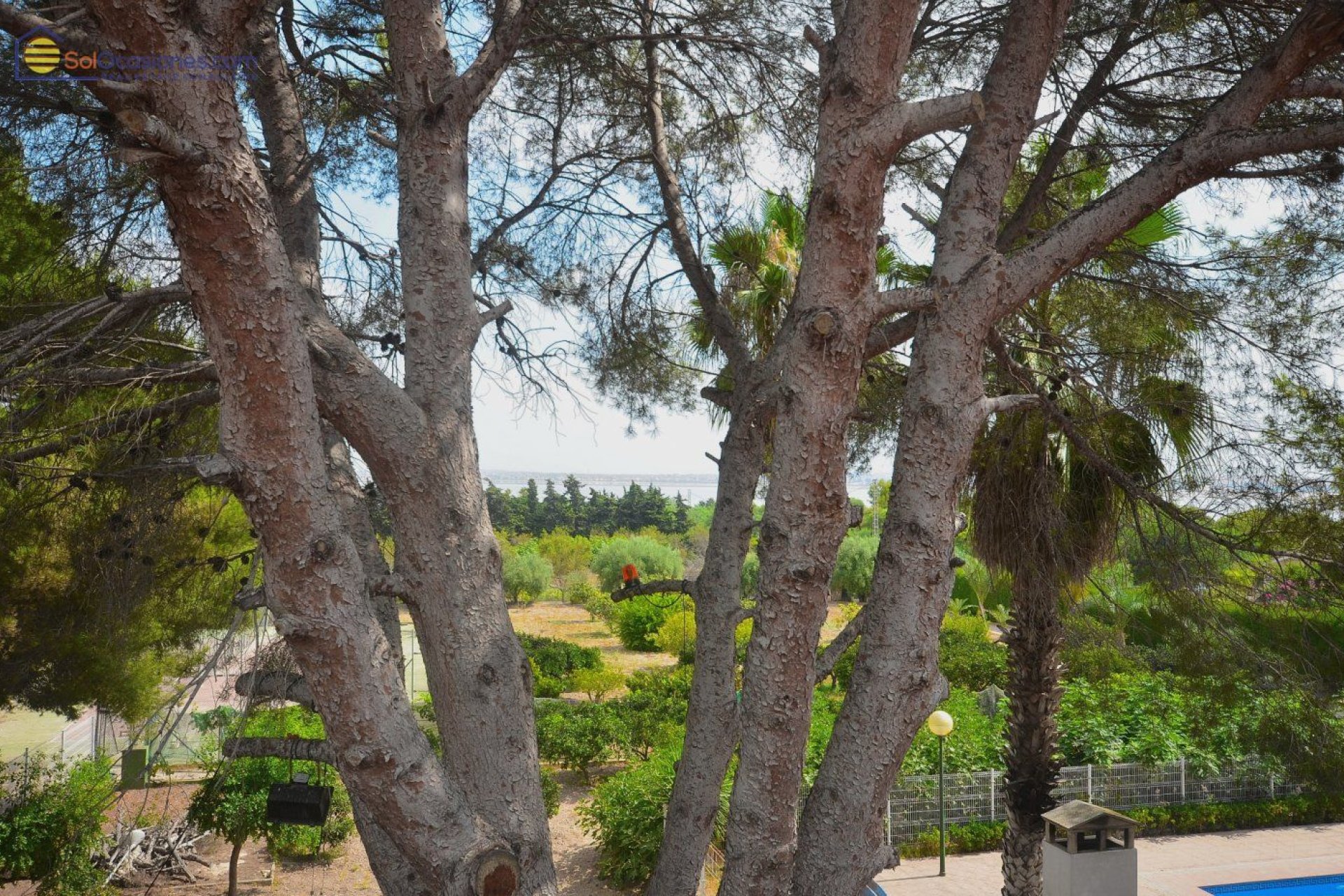 Wiederverkauf - Villa -
Torrevieja - Los Balcones