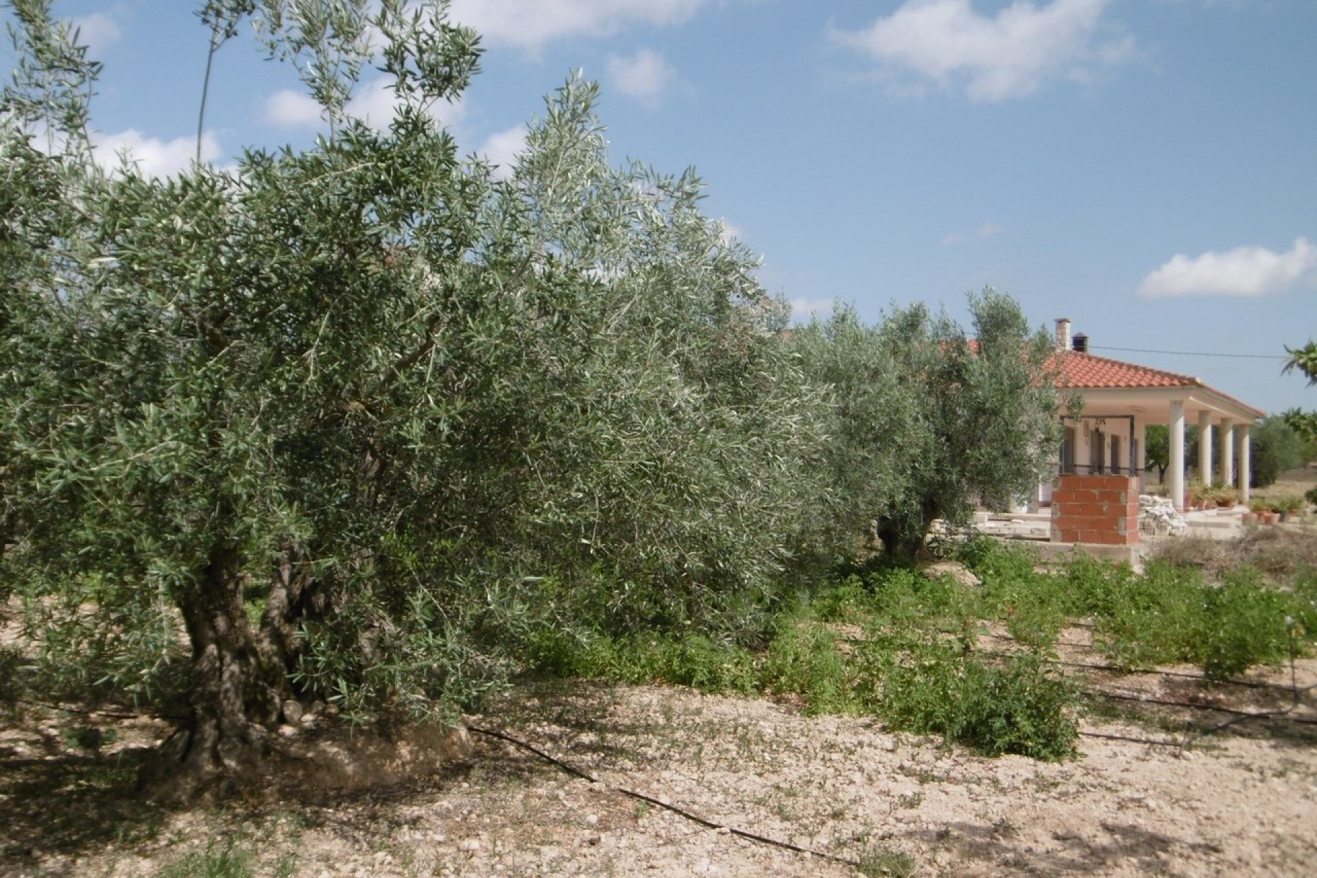 Wiederverkauf - Villa -
Yecla - Inland